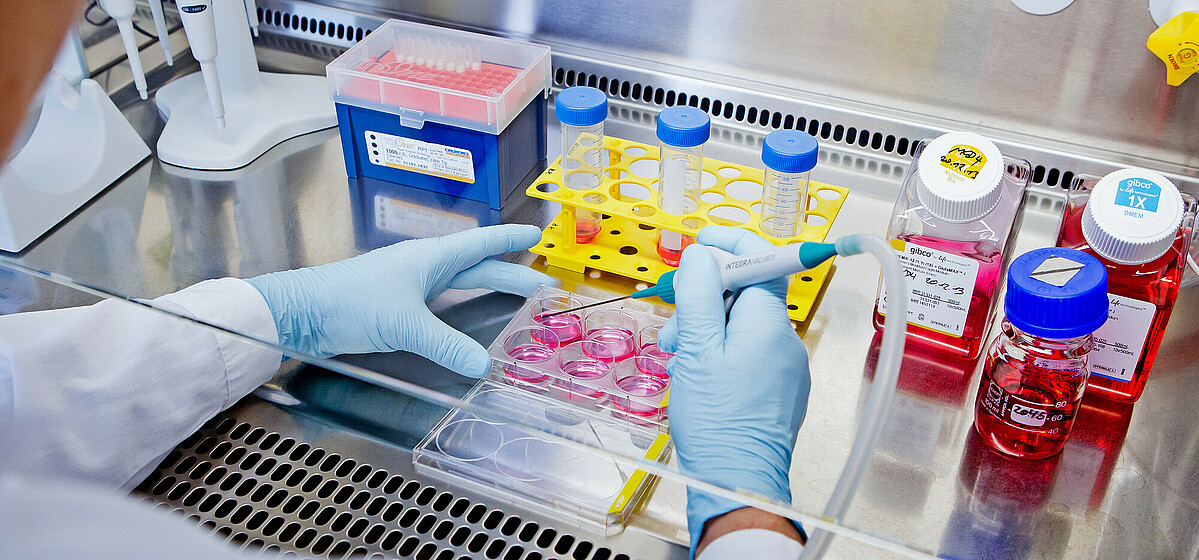 The healthcare industry is thriving in Berlin-Brandenburg.