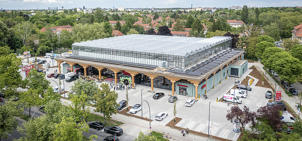 REWE Green Framing