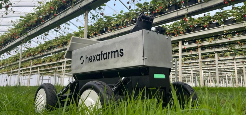 hexafarms robot hexafarms robot